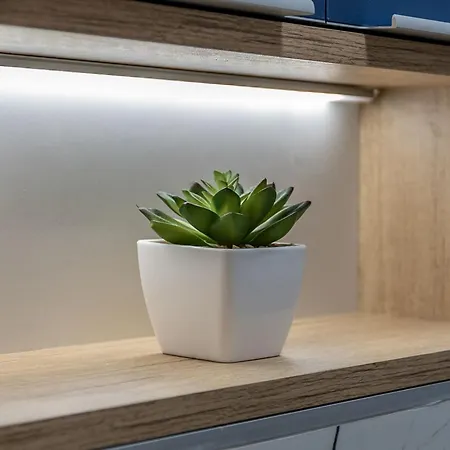 Near Bacvice Apartment *